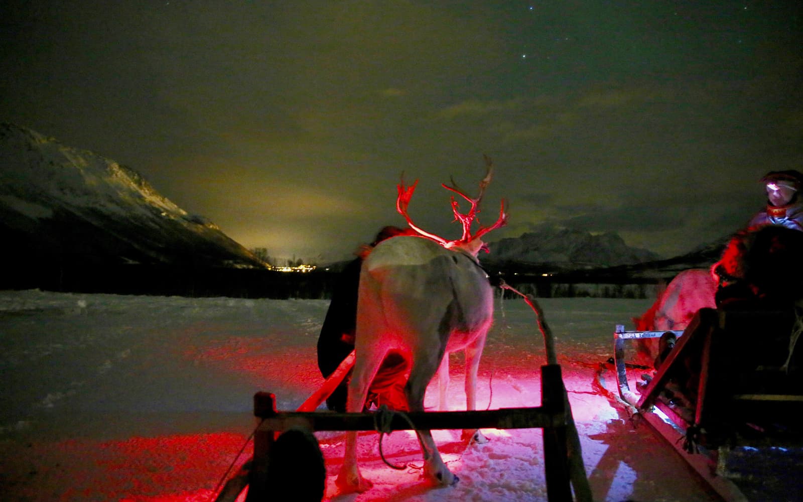 Tromso: Northern Lights, Reindeer and Sami Experiences tickets in Tromso - Features | TickYourList