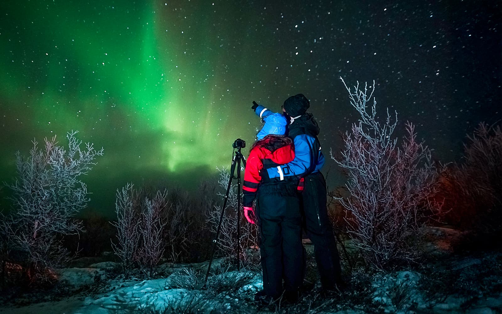 Tromso: Northern Lights Chase with Unlimited Mileage & Guaranteed Sightings
