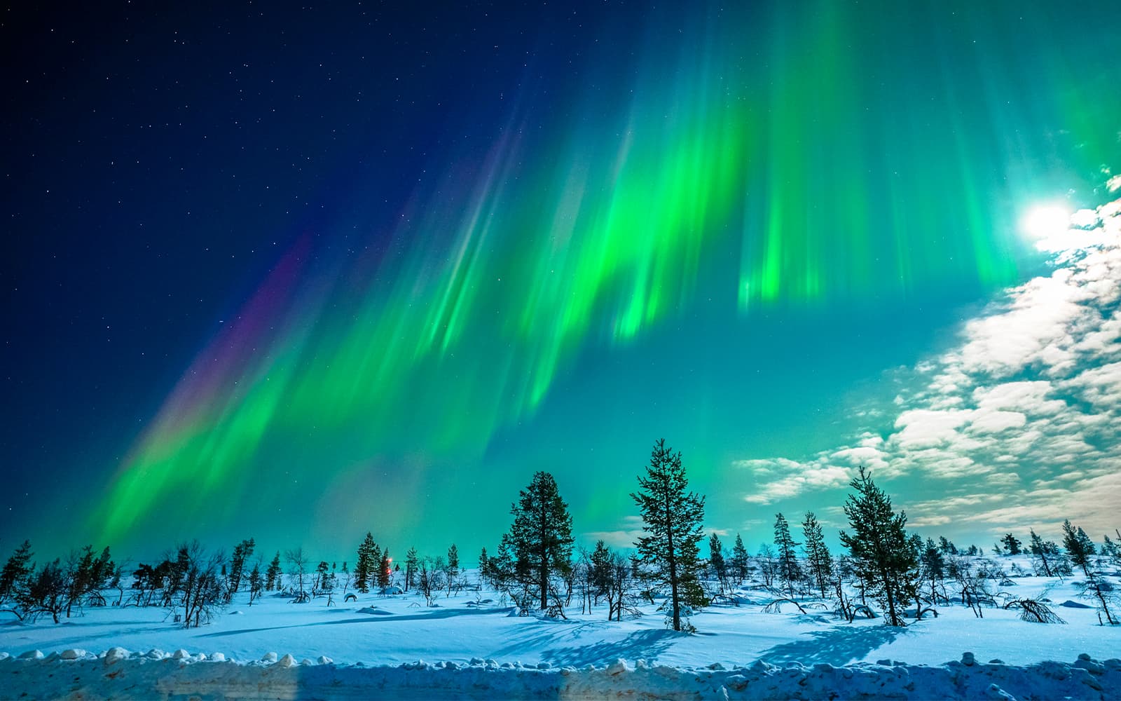 Tromso: Northern Lights Chase with Unlimited Mileage & Guaranteed Sightings tickets in Tromso - Activities | TickYourList