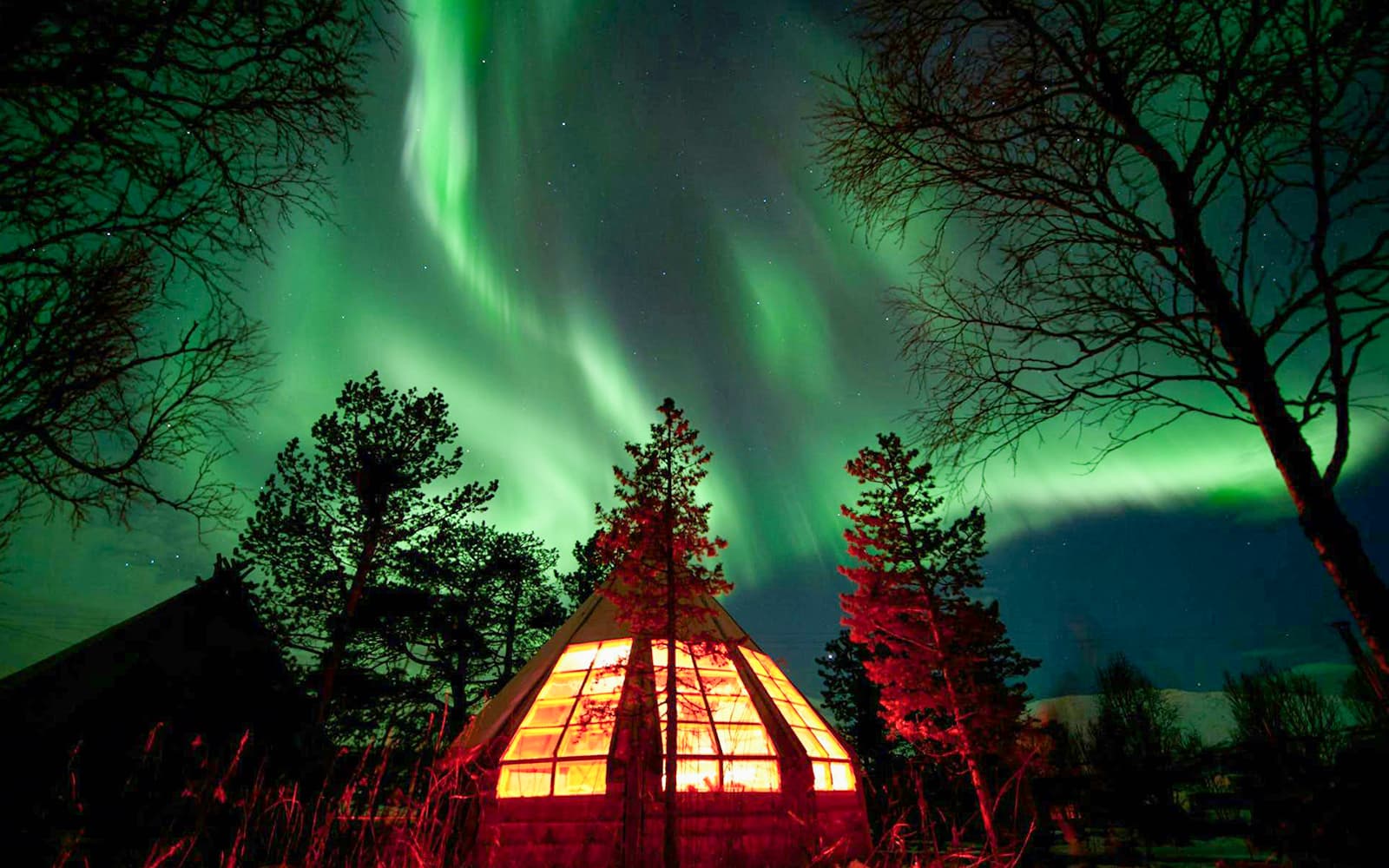 Tromso: Northern Lights and Husky Experience with Traditional Dinner tickets in Tromso - Activities | TickYourList