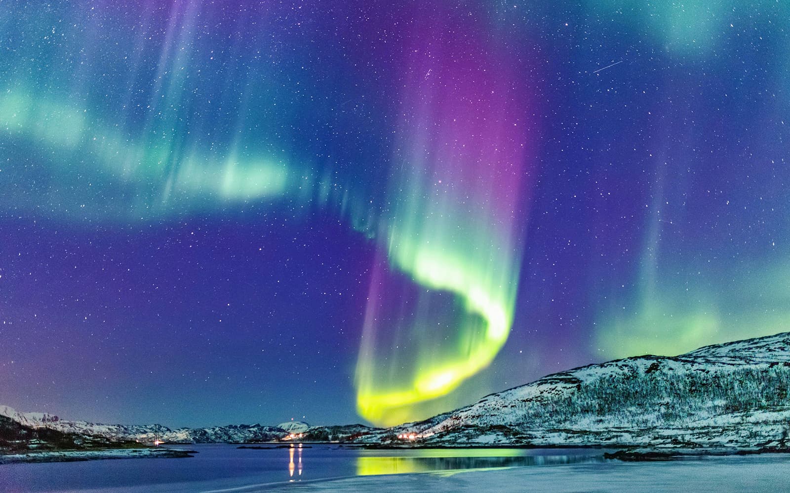 Tromso: Northern Lights and Husky Experience with Traditional Dinner tickets in Tromso - Highlights | TickYourList