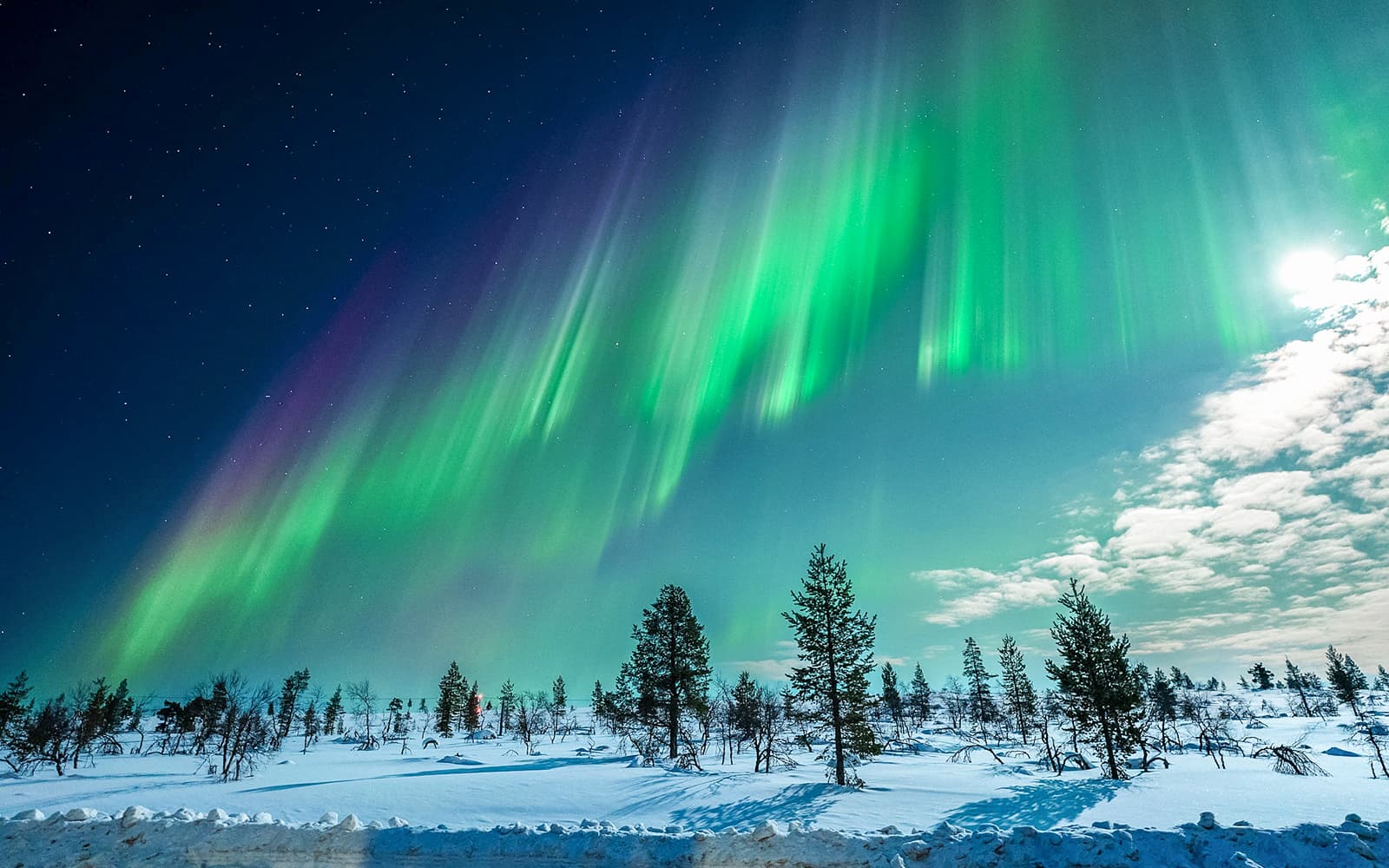 Tromso: Northern Lights Chase Tour tickets in Tromso - Features | TickYourList