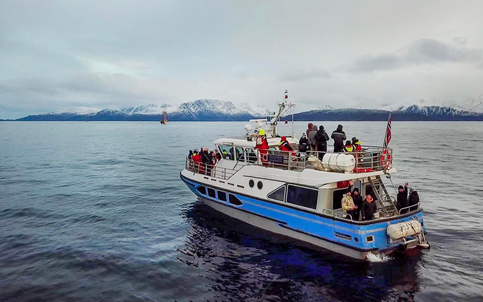 From Tromso: Whale Watching Tour with Lunch tickets in Tromso - Highlights | TickYourList