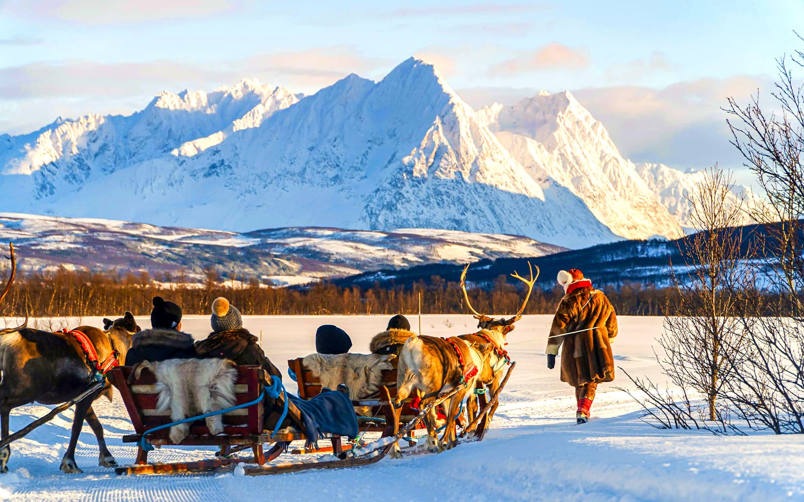 Reindeer Sledding & Sami Culture Guided Tour with Hot Drinks & Meal
