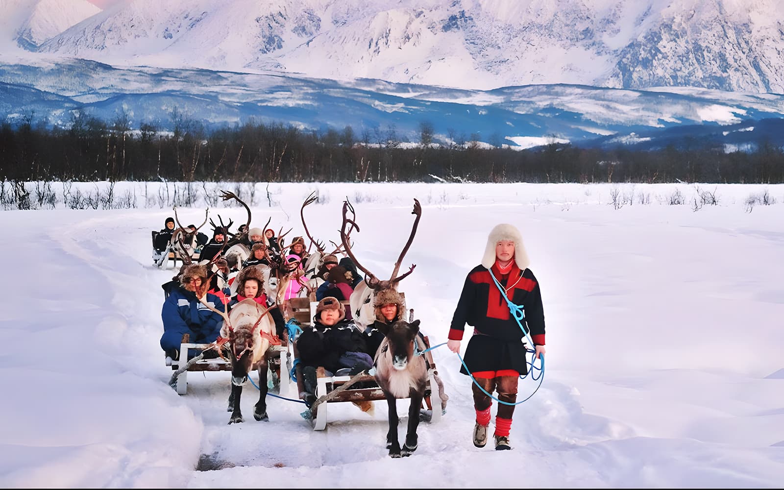 Reindeer Sledding & Sami Culture Guided Tour with Hot Drinks & Meal tickets in Tromso - Activities | TickYourList