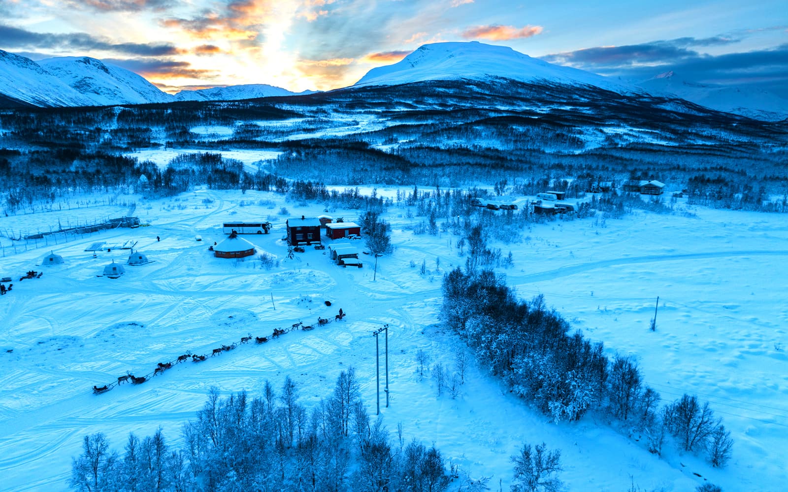 Reindeer Sledding & Sami Culture Guided Tour with Hot Drinks & Meal tickets in Tromso - Features | TickYourList
