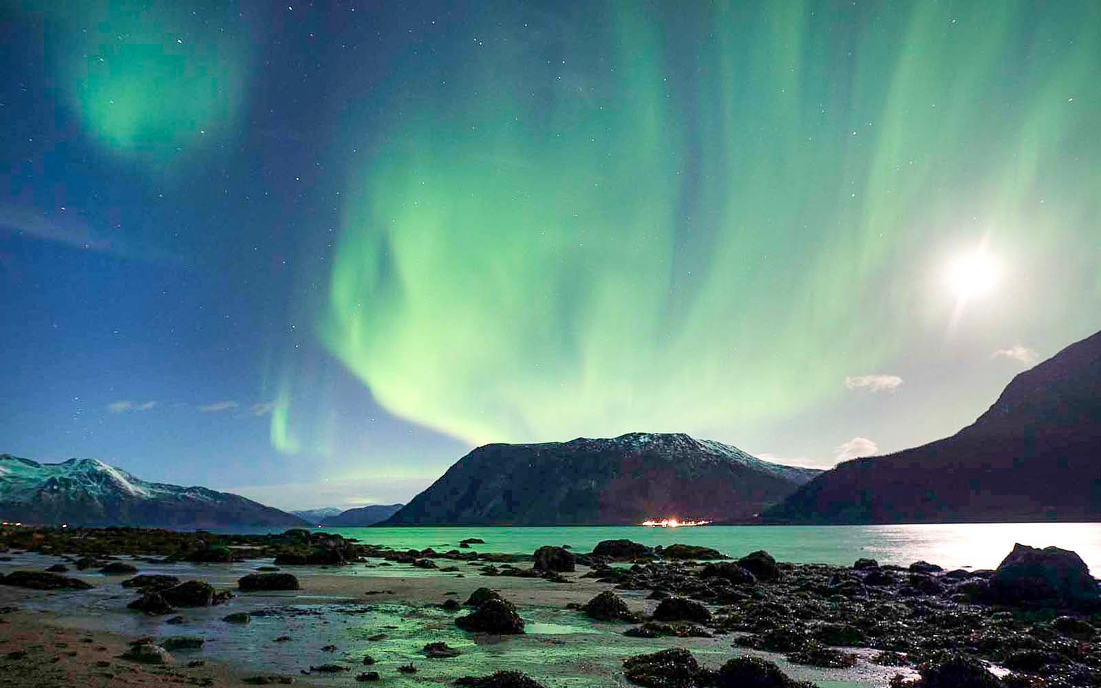 From Tromso: Reindeer Feeding Guided Tour with Chance of Northern Lights tickets in Tromso - Features | TickYourList