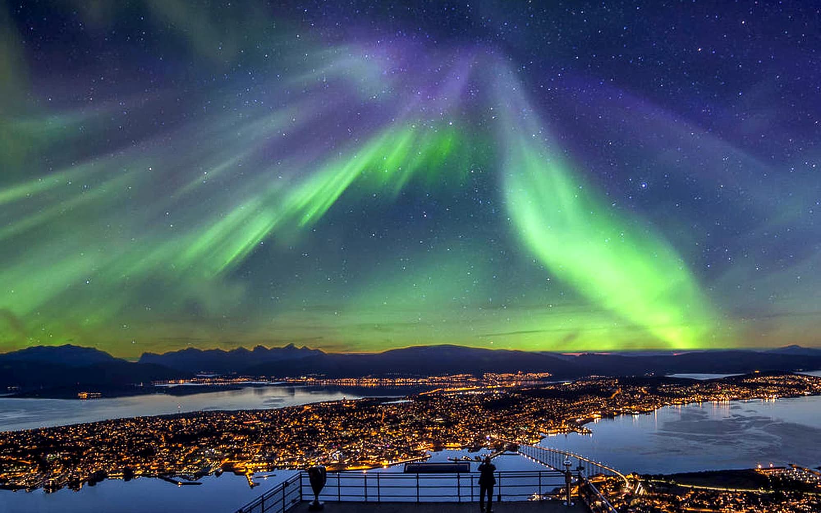 Northern Lights Chase Minibus Tour with Campfire tickets in Tromso - Highlights | TickYourList
