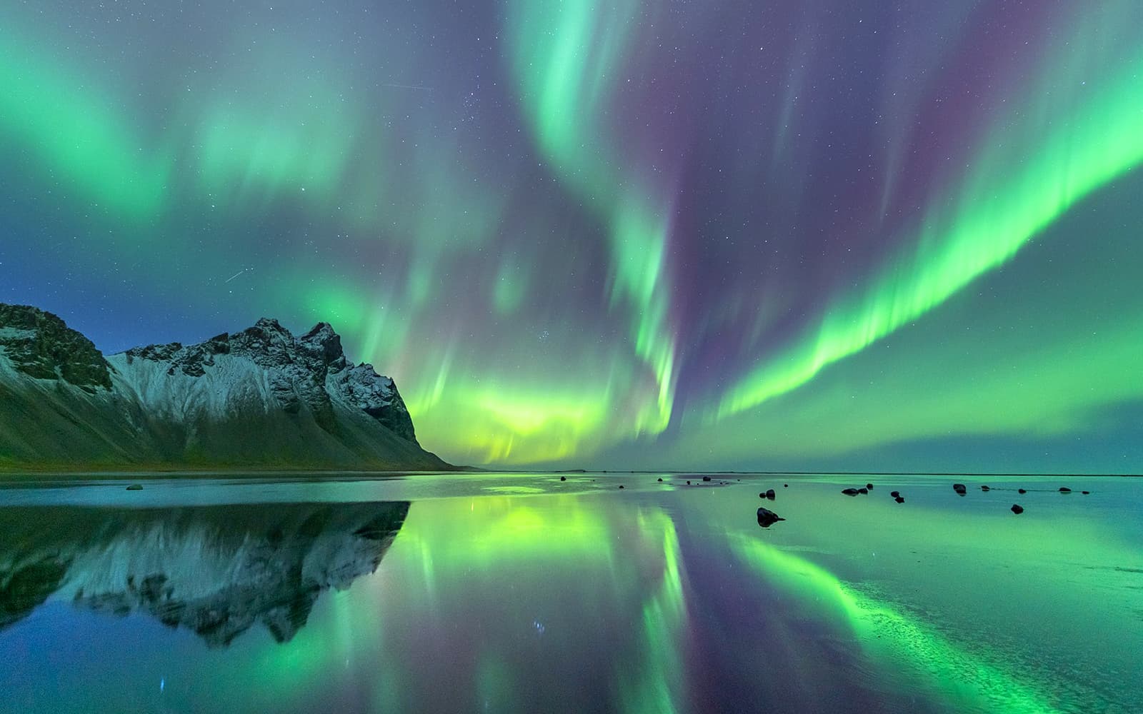 Northern Lights Chase Minibus Tour with Campfire tickets in Tromso - Full Experience | TickYourList