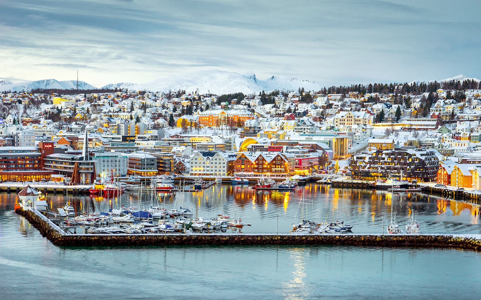 From Tromso: Arctic Fjord Expedition with Lunch tickets in Tromso - Highlights | TickYourList