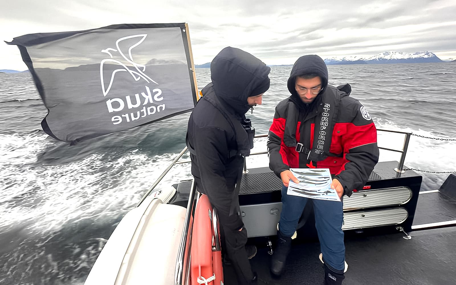 From Tromso: Small Group Whale Watching Cruise tickets in Tromso - Attractions | TickYourList