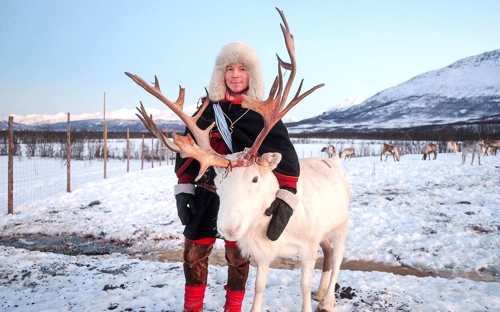 From Tromso: Reindeer Feeding and Sami Culture Tour with Lunch