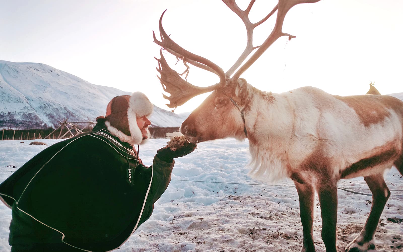 From Tromso: Reindeer Feeding and Sami Culture Tour with Lunch tickets in Tromso - Attractions | TickYourList