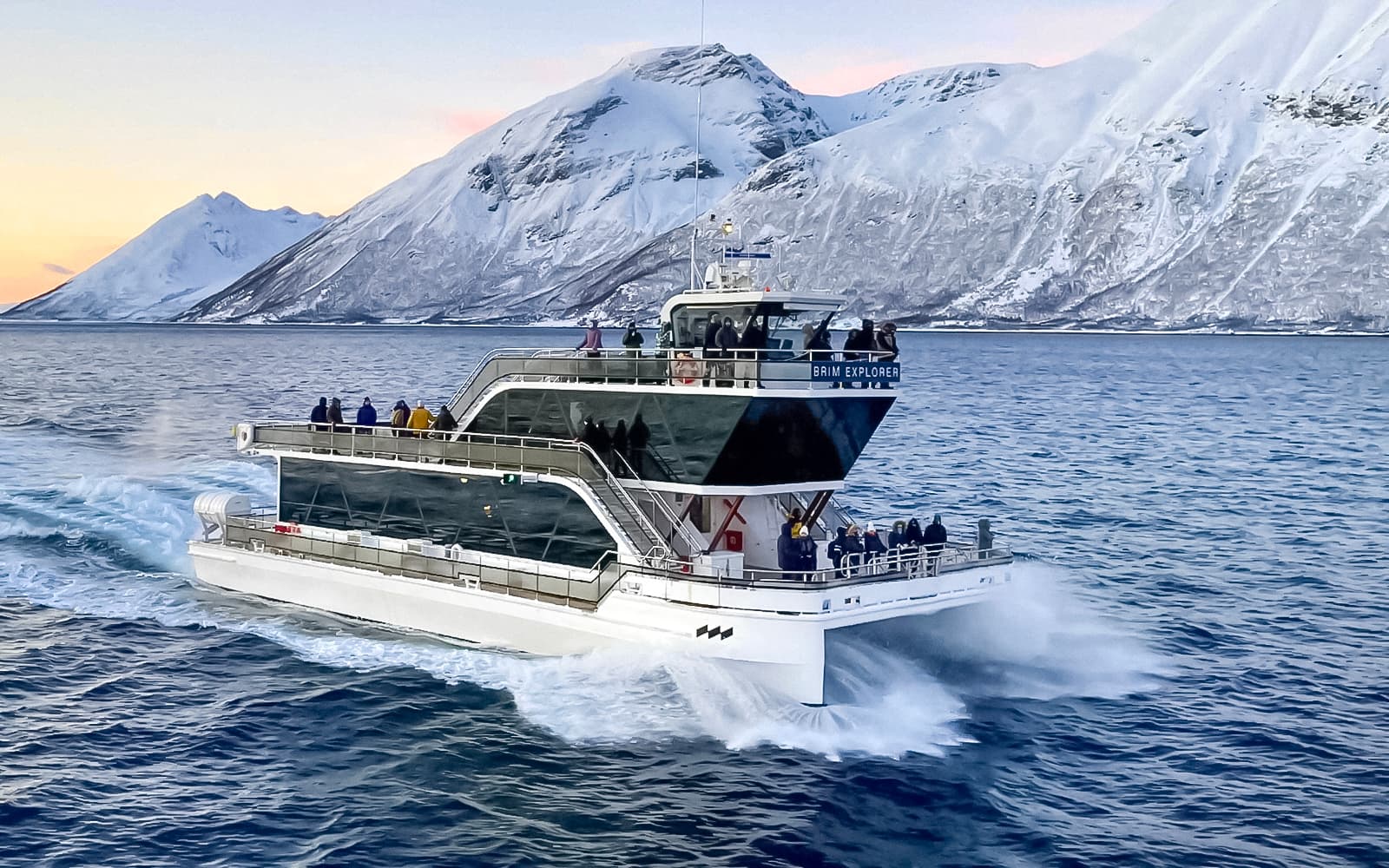 From Tromso: Arctic Fjord Cruise & Wildlife Tour