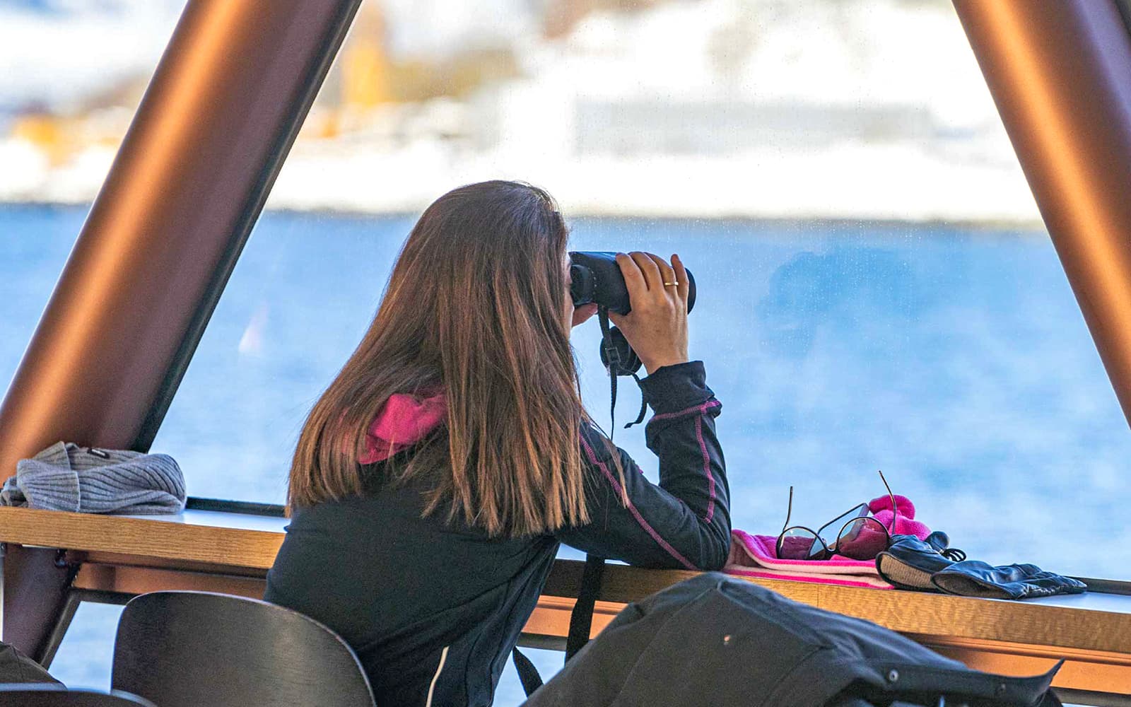 From Tromso: Arctic Fjord Cruise & Wildlife Tour tickets in Tromso - Activities | TickYourList
