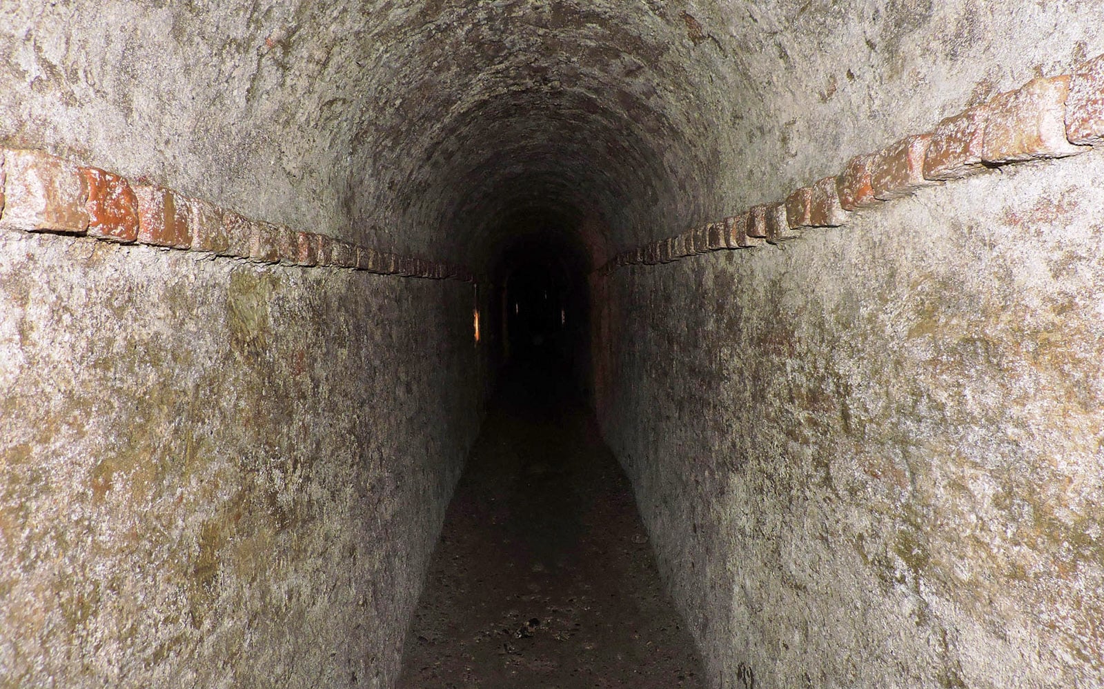 listing card gallery - Image 1 of 5