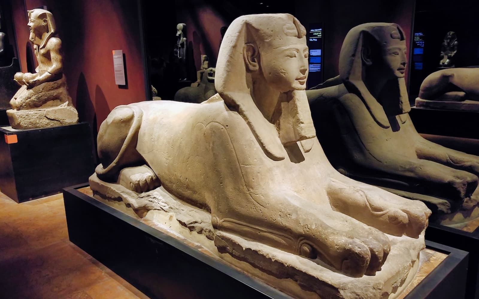 Best of Turin : Walking Tour with Royal Palace and Egyptian Museum