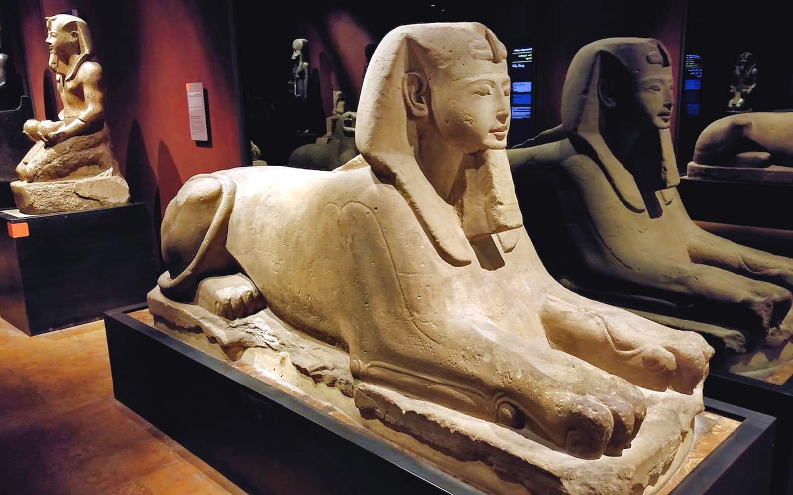 Egyptian Museum & Royal Palace Guided Tour