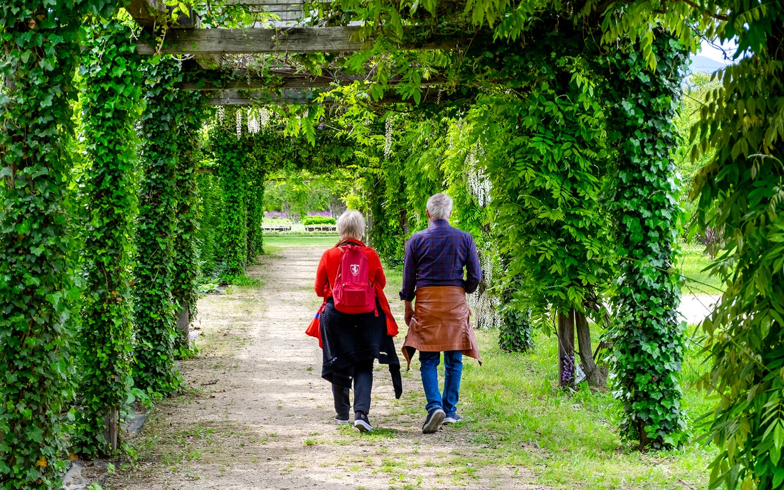 Palace of Venaria Entry Tickets with Access to Reggia and the Gardens in Turin - Features | TickYourList