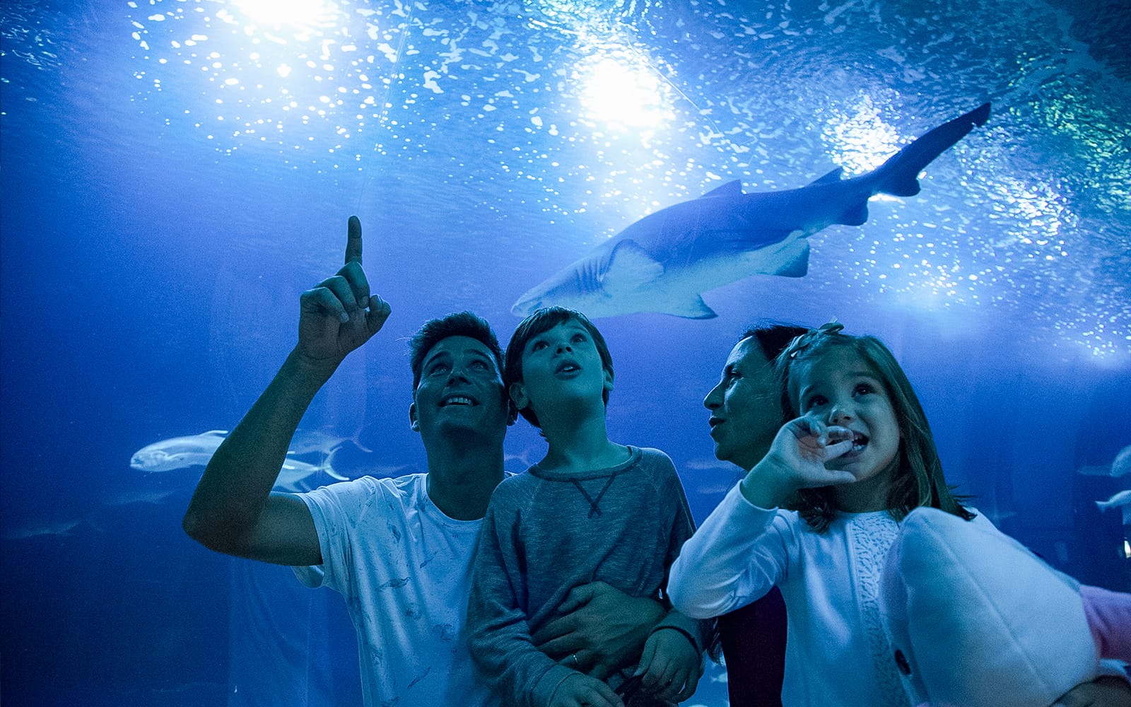 OceanogrĂ fic Tickets in Valencia - Activities | TickYourList