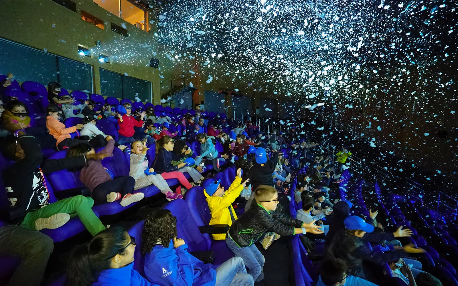 Oceanogràfic Tickets in Valencia - Features | TickYourList