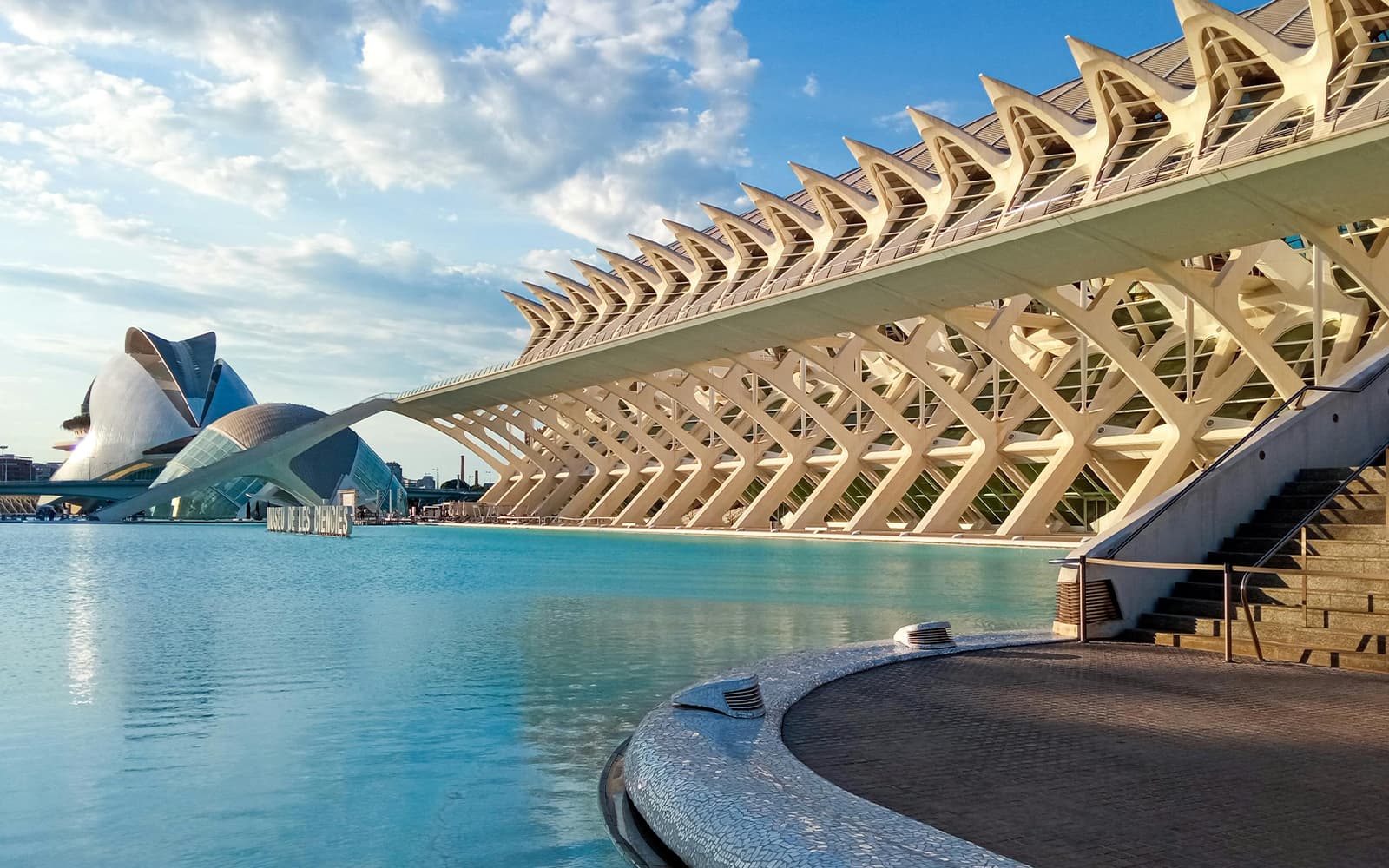 Combo: Oceanogràfic + Science Museum Tickets in Valencia - Highlights | TickYourList