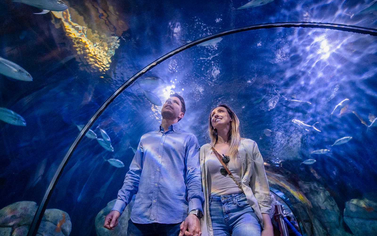 Combo: Oceanogràfic + Science Museum + Hemisfèric Tickets