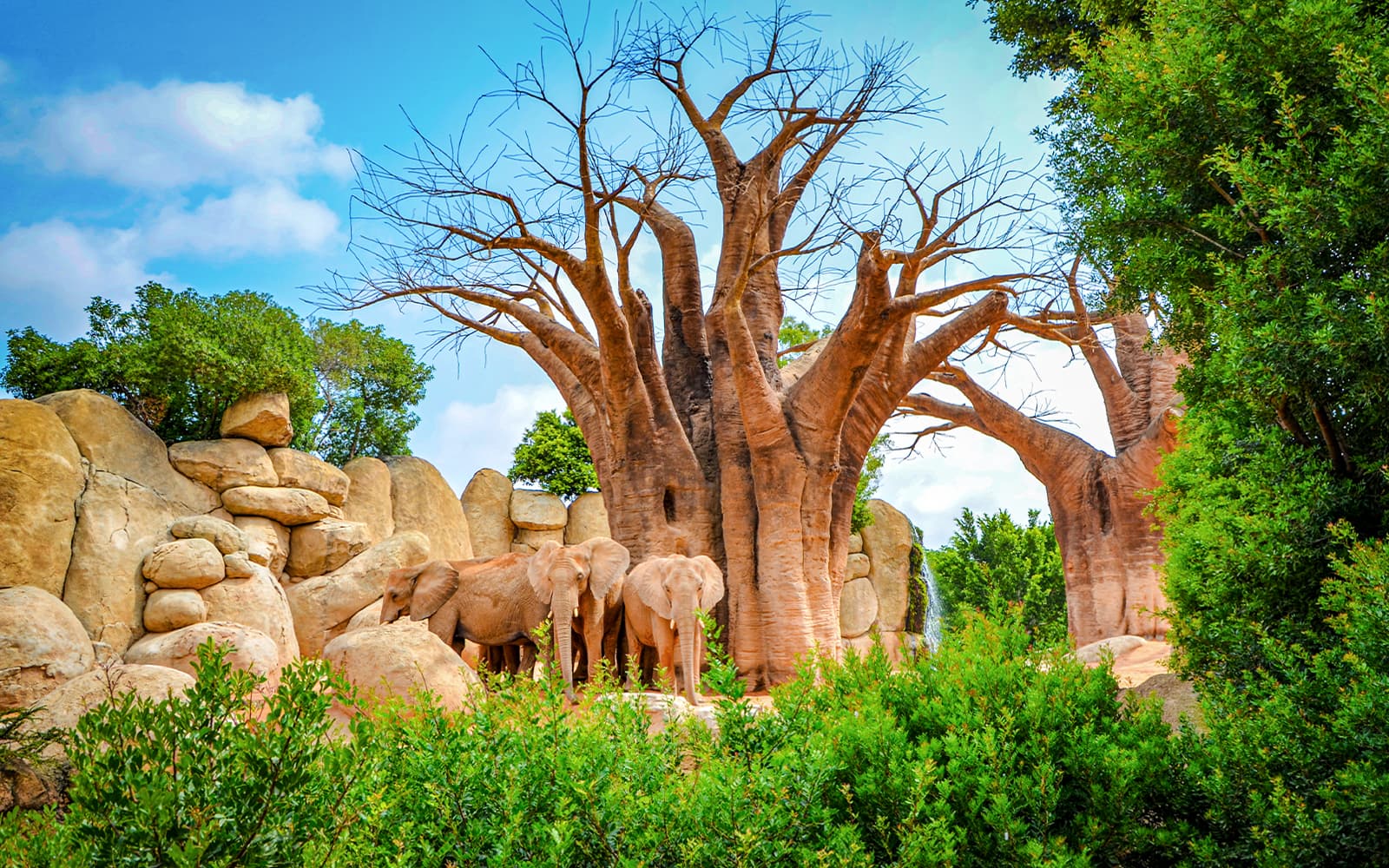 Bioparc Valencia Tickets
