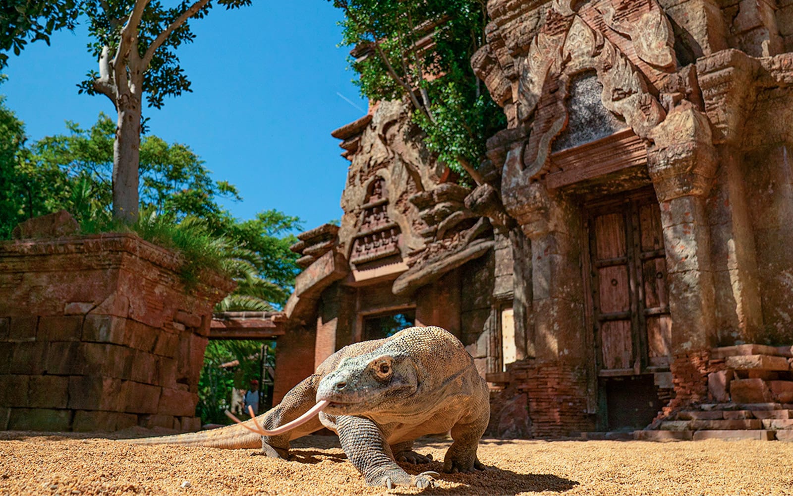 Bioparc Valencia Tickets in Valencia - Activities | TickYourList