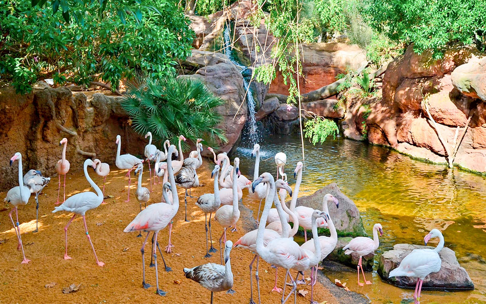 Bioparc Valencia Tickets in Valencia - Highlights | TickYourList