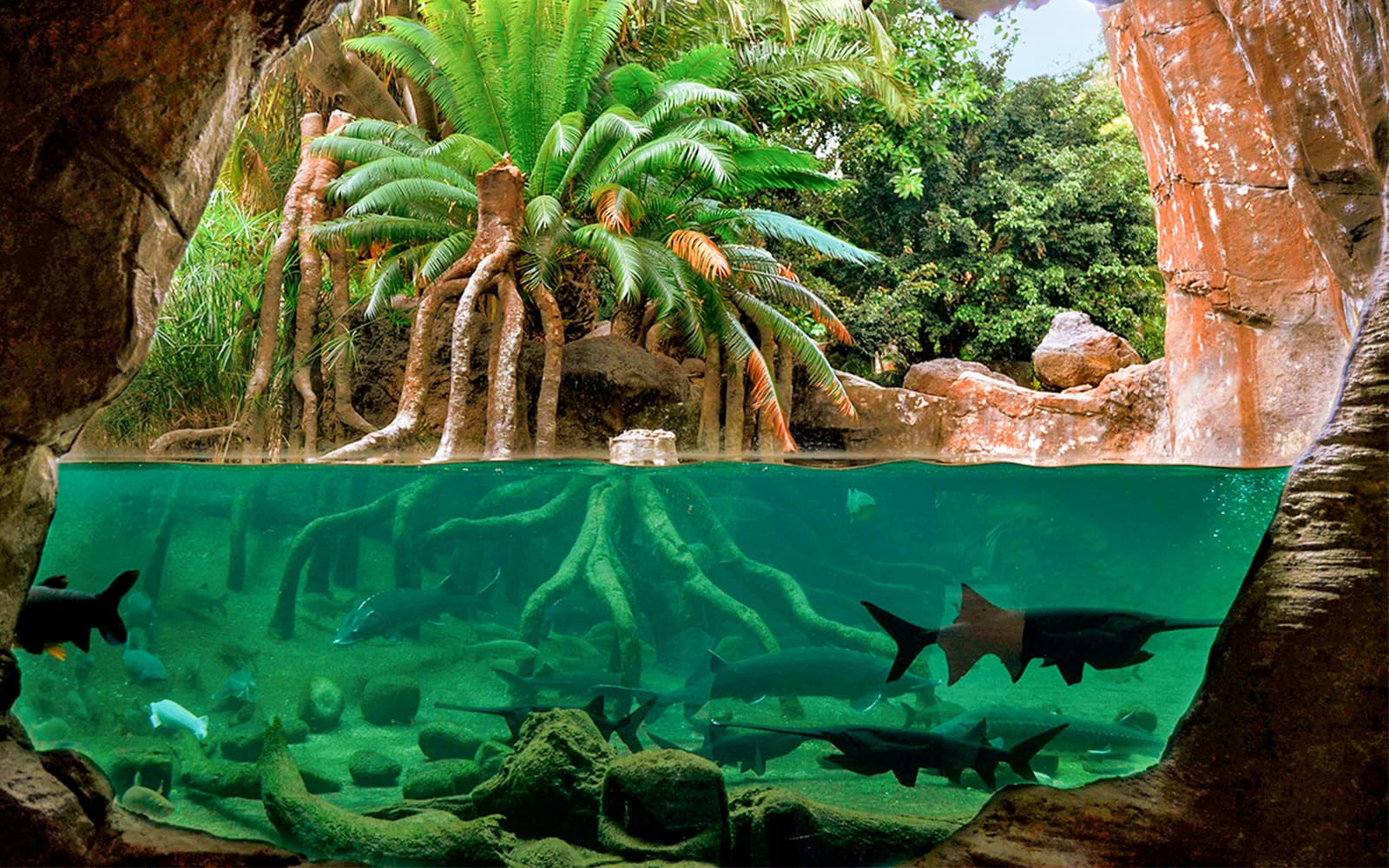 Bioparc Valencia Tickets in Valencia - Features | TickYourList