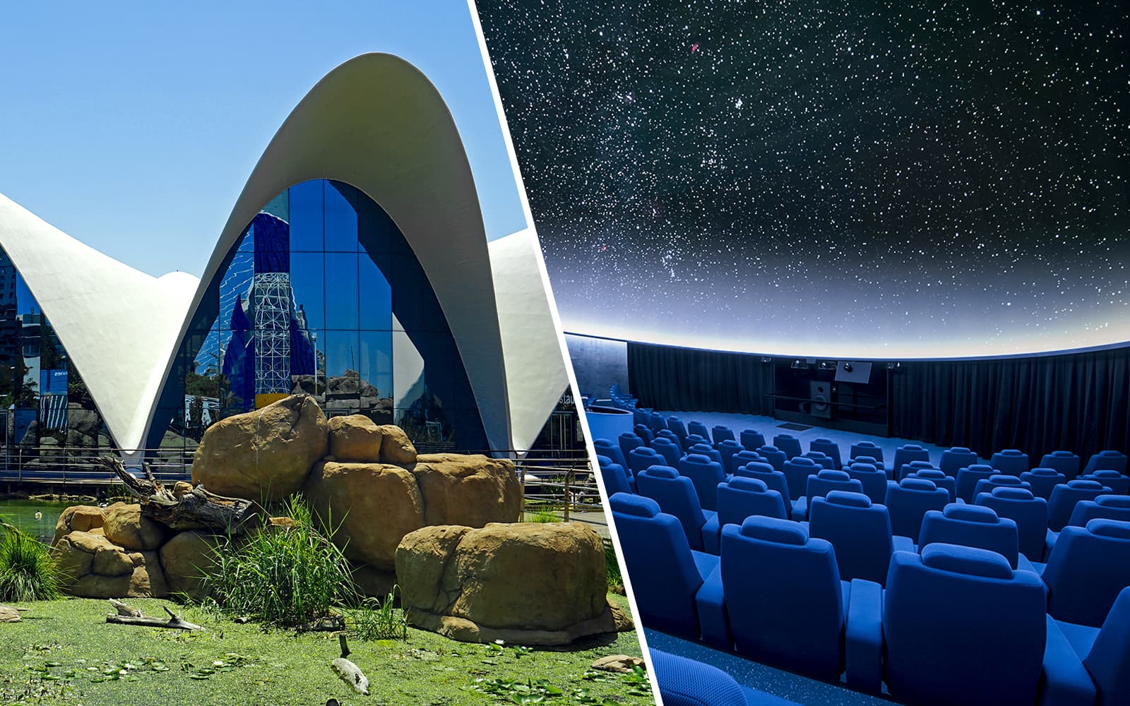 Combo: Oceanogràfic + Hemisfèric Tickets