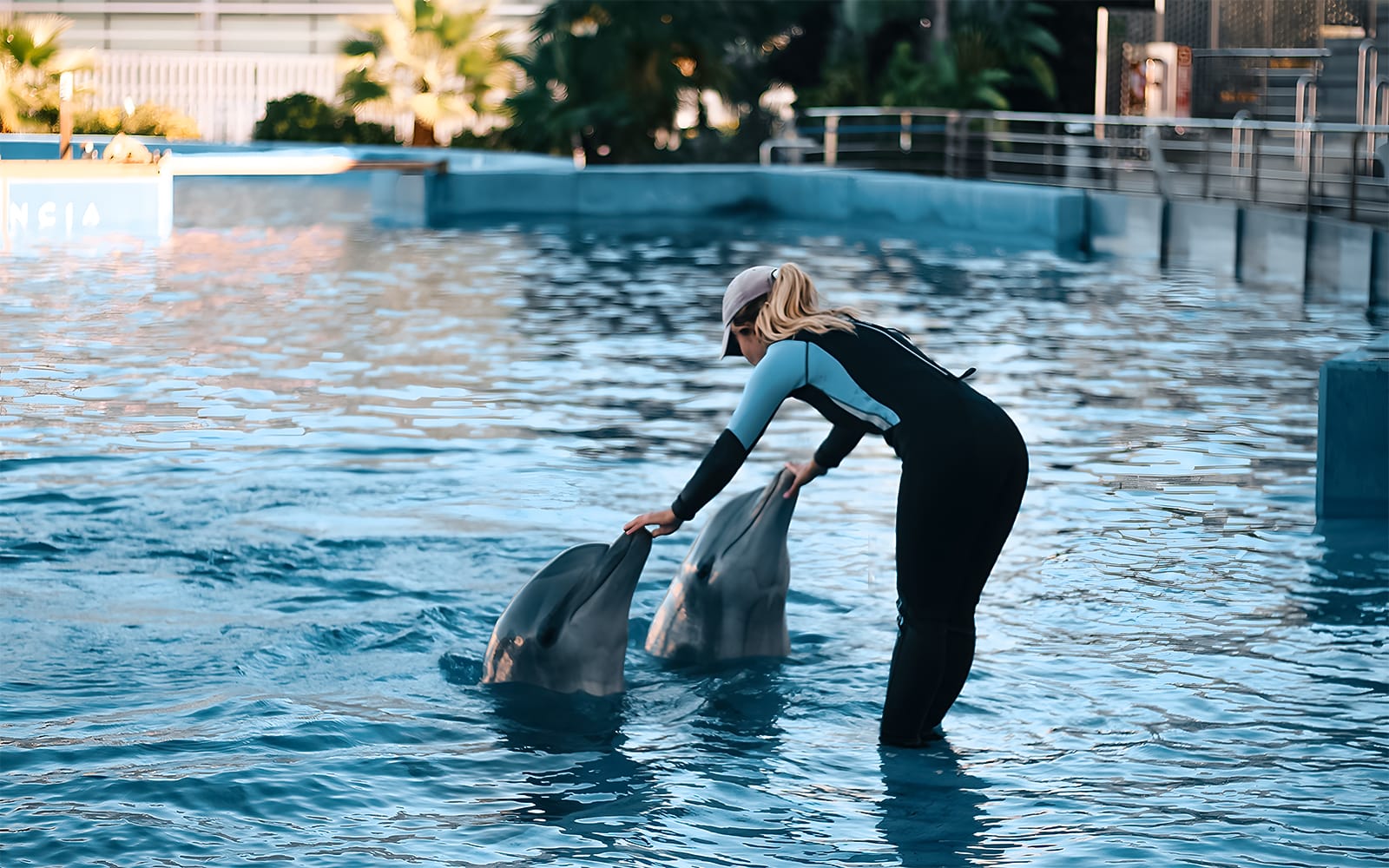 Combo: Oceanogràfic + Hemisfèric Tickets in Valencia - Activities | TickYourList