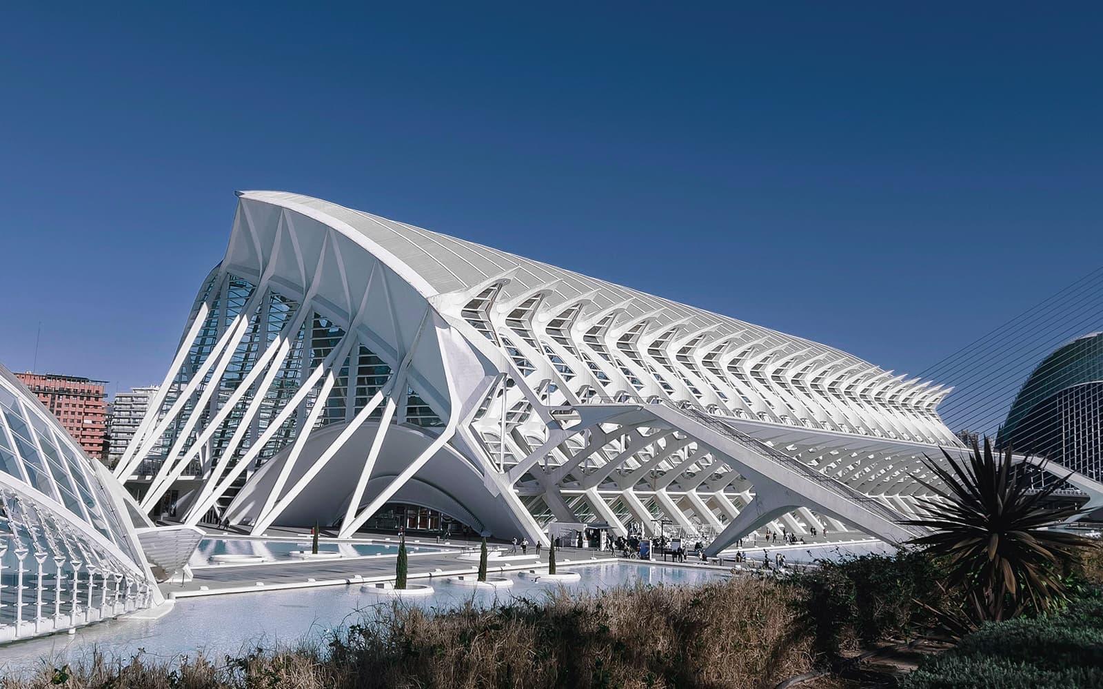 Combo: Hemisfèric + Science Museum Tickets in Valencia - Highlights | TickYourList
