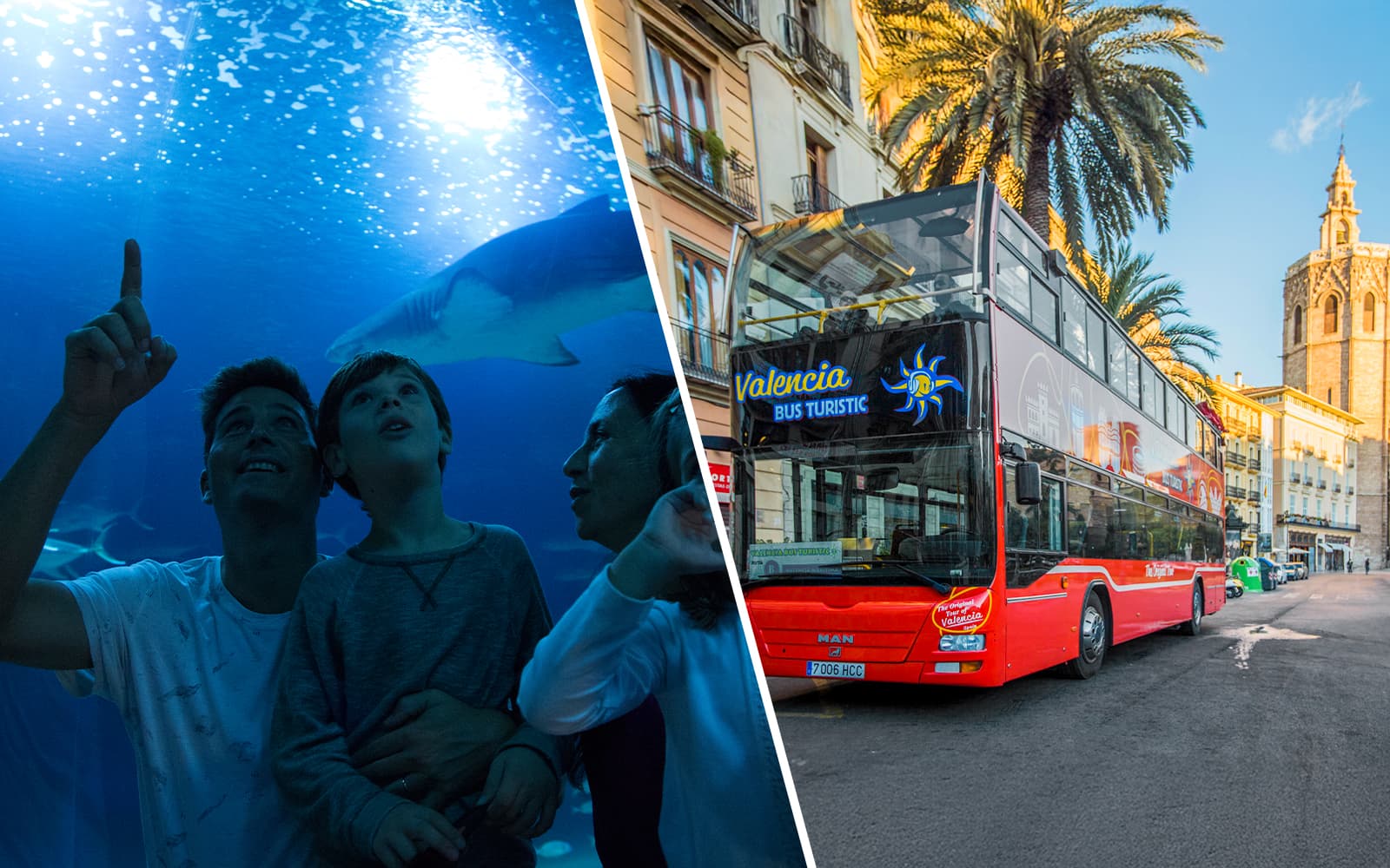 Combo (Save 10%): Oceanogràfic Tickets + Valencia Hop-on Hop-off Bus Tour