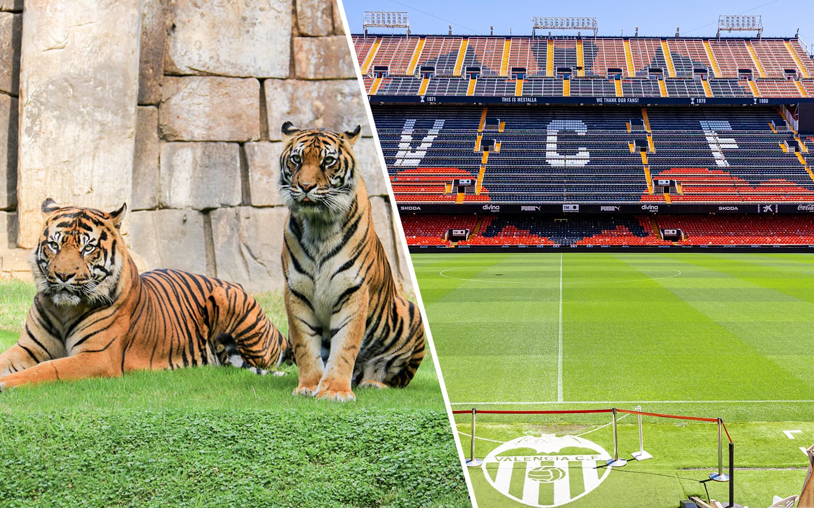 Combo (Save 5%): Bioparc Valencia Tickets + Mestalla Forever Tour