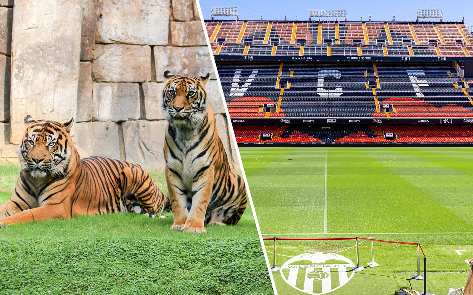 Combo (Save 5%): Bioparc Valencia Tickets + Mestalla Forever Tour
