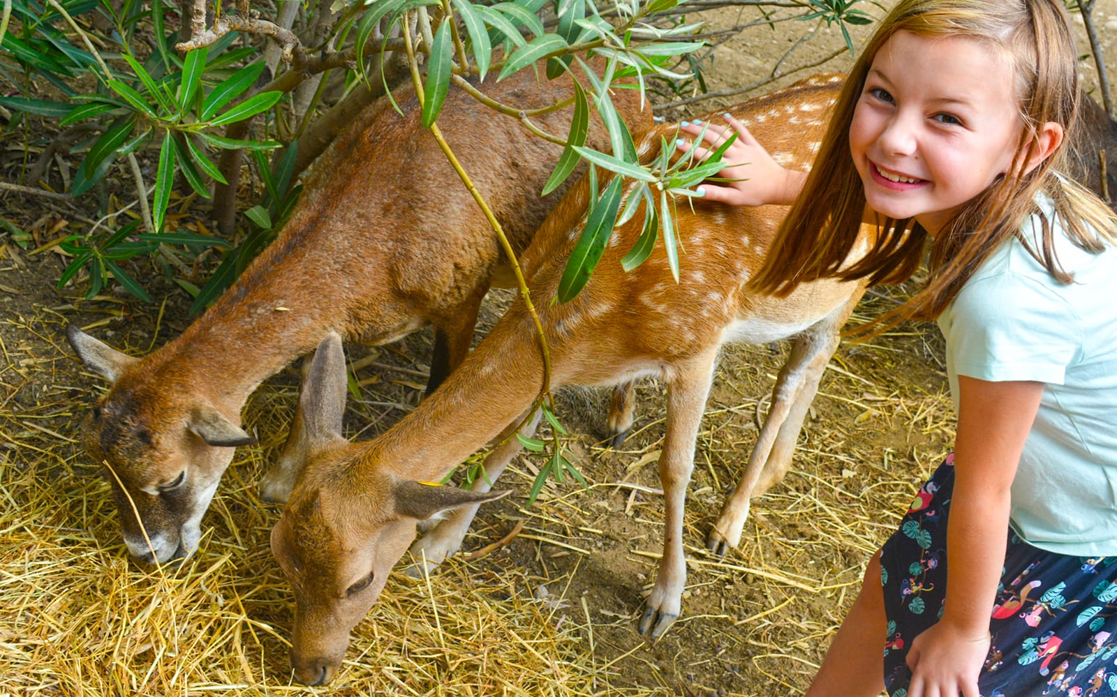 Fast Track Access to Terra Natura Benidorm tickets in Valencia - Attractions | TickYourList
