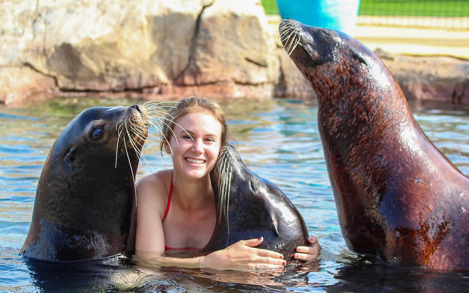 Fast Track Access to Terra Natura Benidorm tickets in Valencia - Features | TickYourList