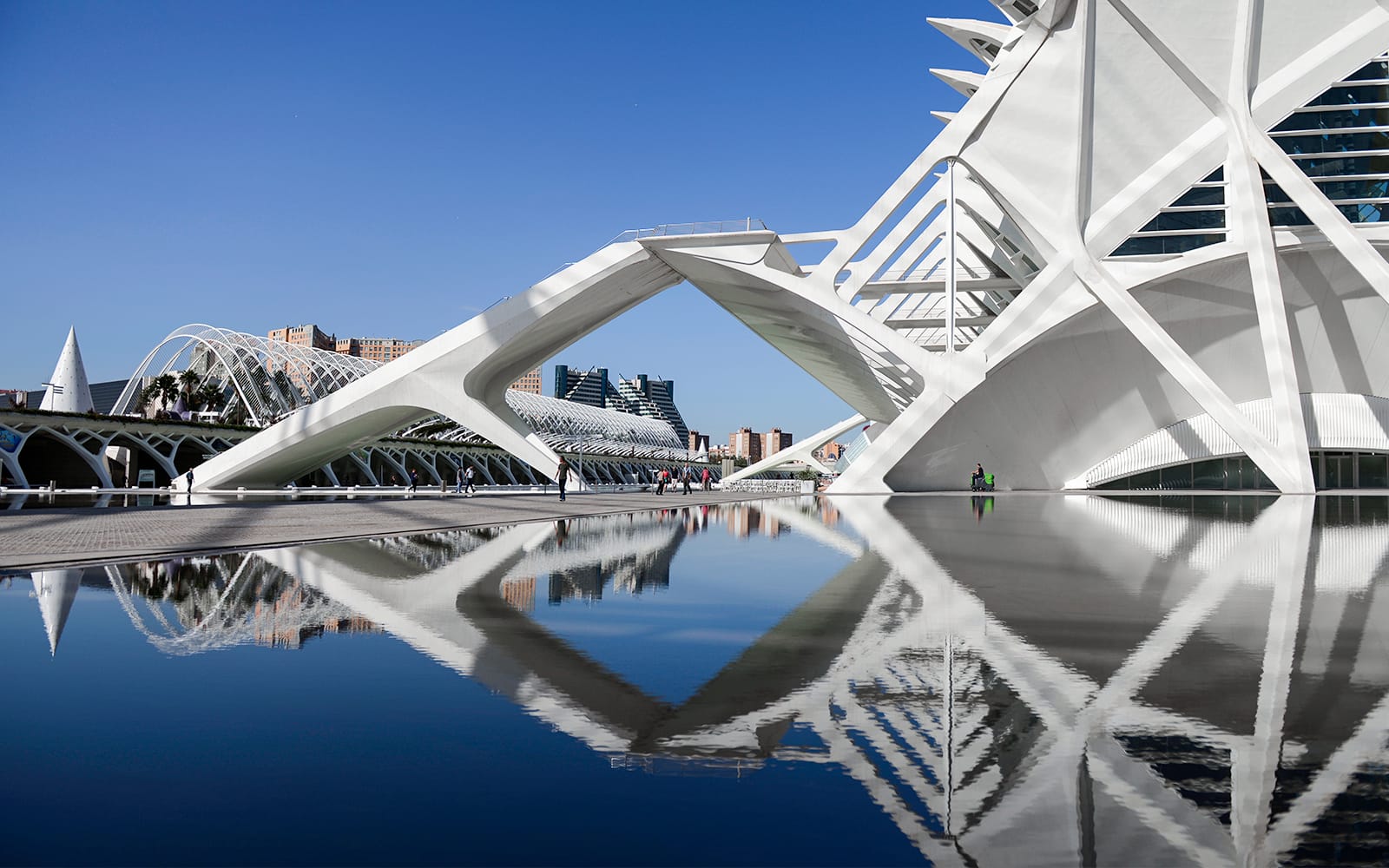 Valencia Science Museum Skip-the-Line Tickets experience in Valencia | TickYourList