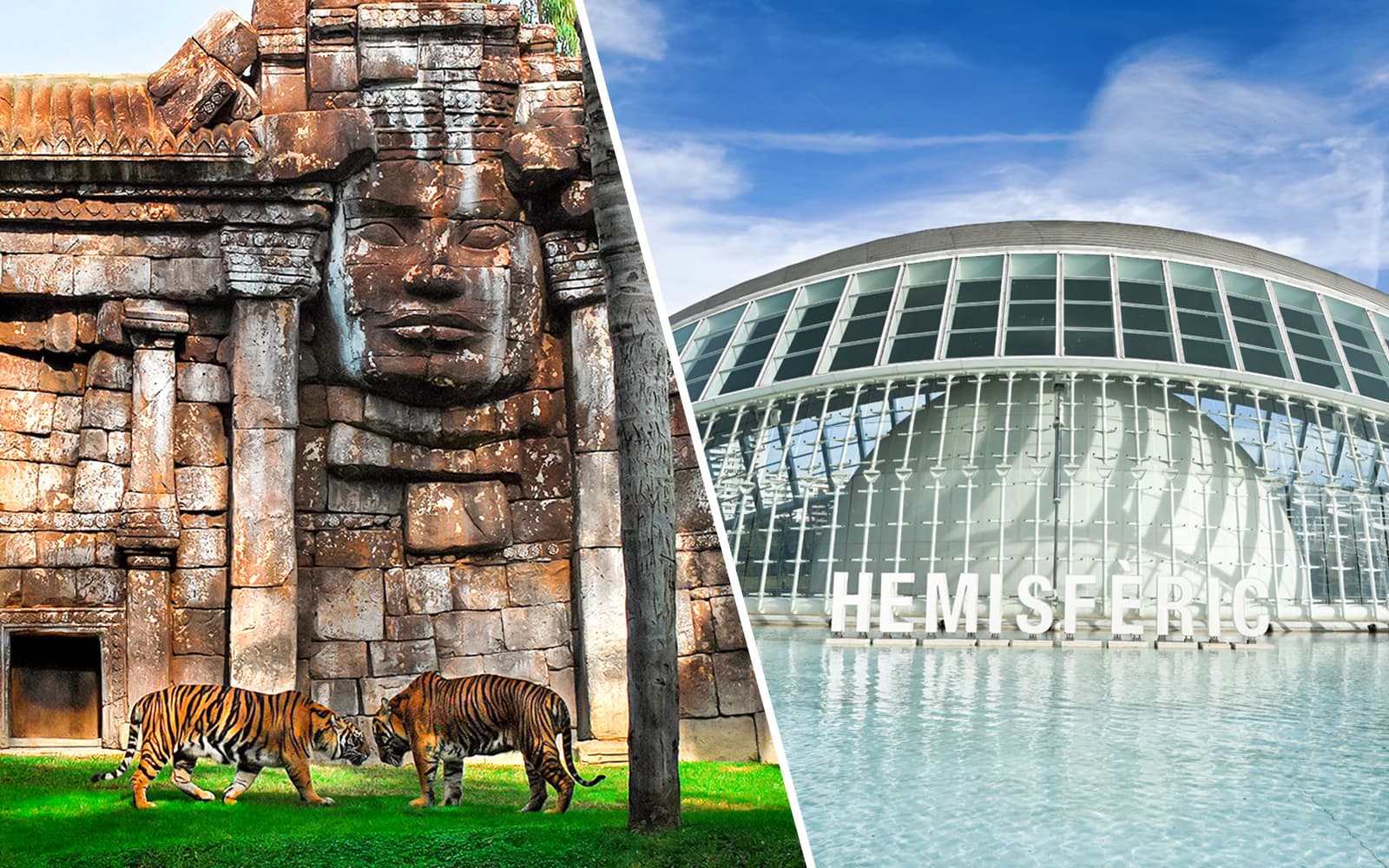 Combo: Bioparc Valencia + Hemisfèric Tickets
