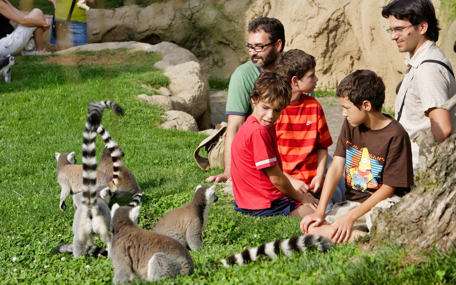 Combo: Bioparc Valencia + Hemisfèric Tickets in Valencia - Attractions | TickYourList