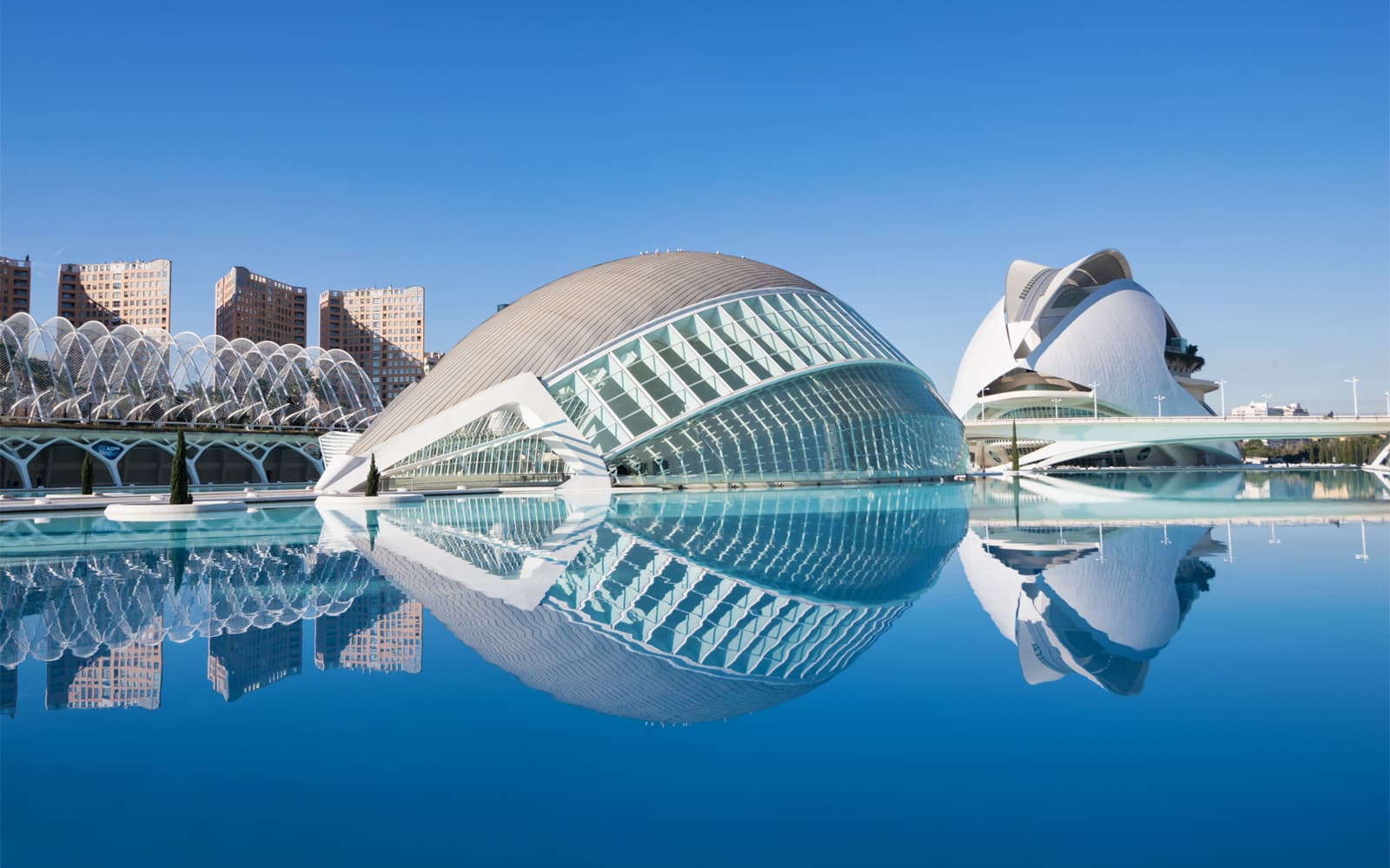 Combo: Bioparc Valencia + Hemisfèric Tickets in Valencia - Highlights | TickYourList