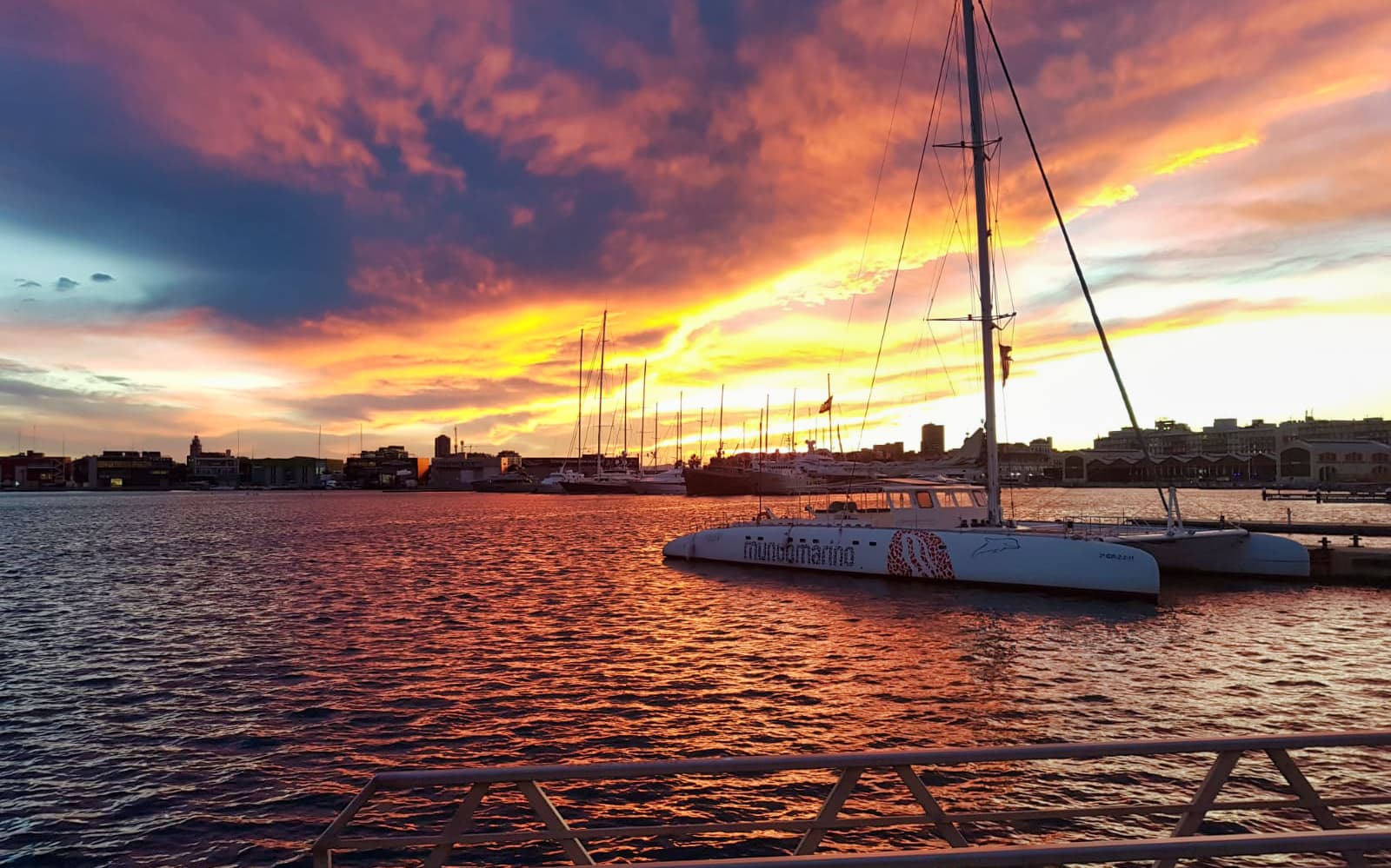 Valencia Boat Tours and Excursions tickets in Valencia - Full Experience | TickYourList