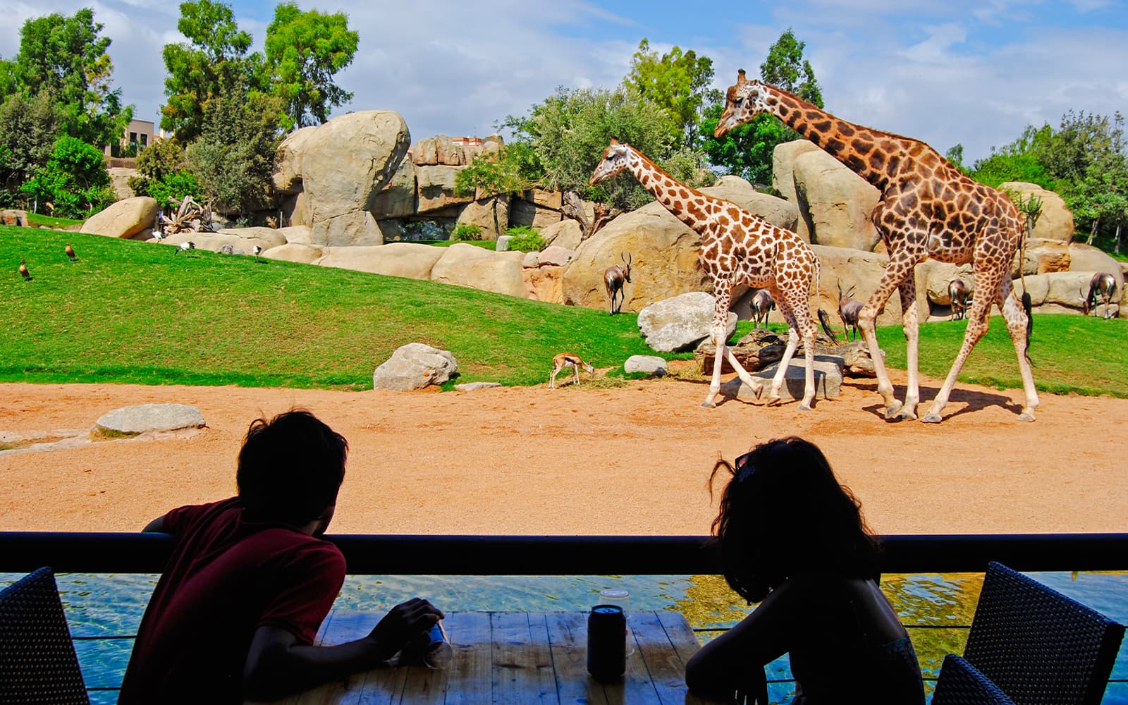 Fast-Track Access Tickets to Bioparc Valencia