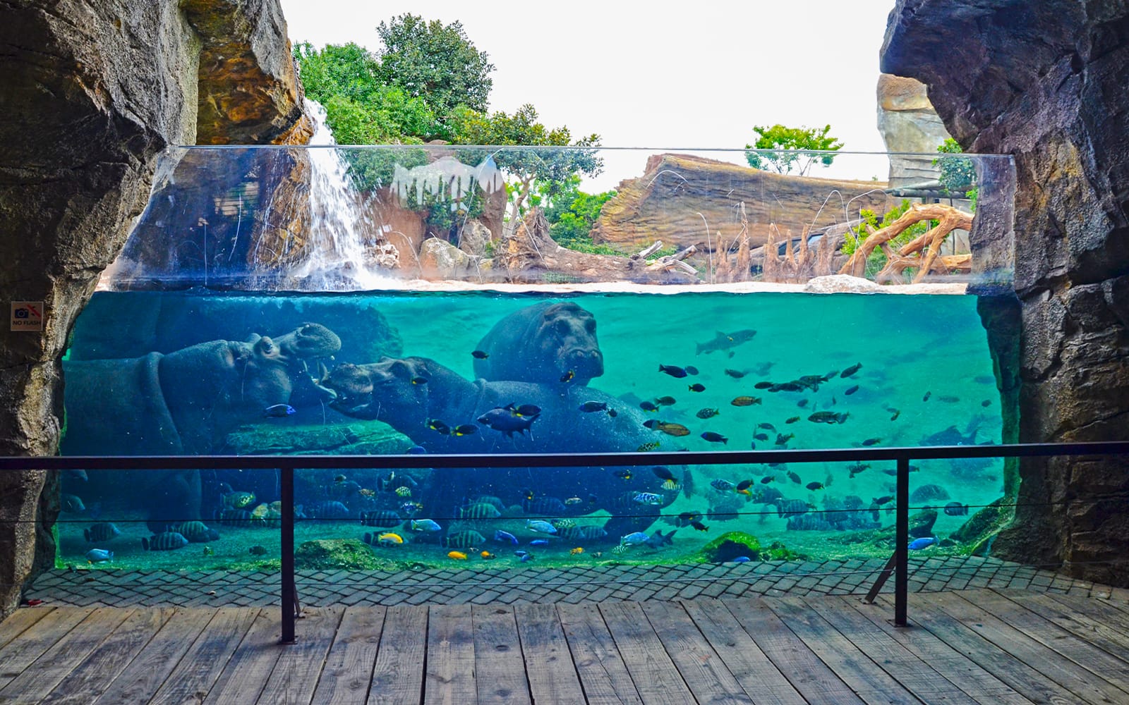 Fast-Track Access Tickets to Bioparc Valencia in Valencia - Activities | TickYourList