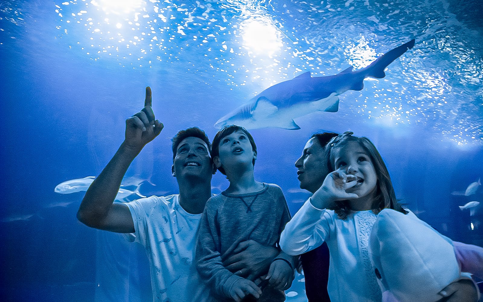 Combo: Bioparc Valencia Skip-the-Line Tickets + Oceanogràfic with 4D Cinema Tickets in Valencia - Features | TickYourList