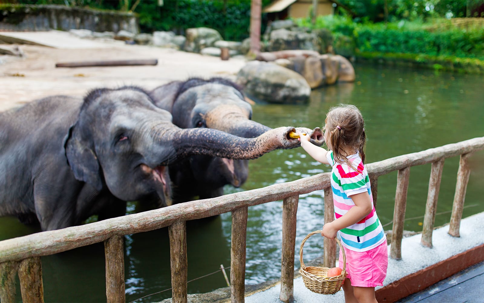 Warsaw Zoo Skip-the-Line Tickets experience in Warsaw | TickYourList