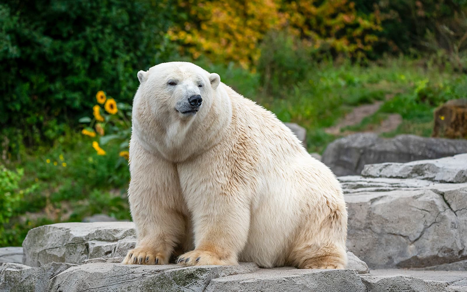 Warsaw Zoo Skip-the-Line Tickets in Warsaw - Attractions | TickYourList