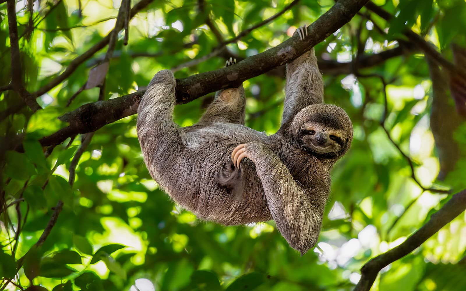 Warsaw Zoo Skip-the-Line Tickets in Warsaw - Activities | TickYourList